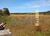 Fazenda-Sítio-Chácara, 252 hectares - Foto 7