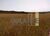 Fazenda-Sítio-Chácara, 252 hectares - Foto 11
