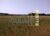 Fazenda-Sítio-Chácara, 252 hectares - Foto 10