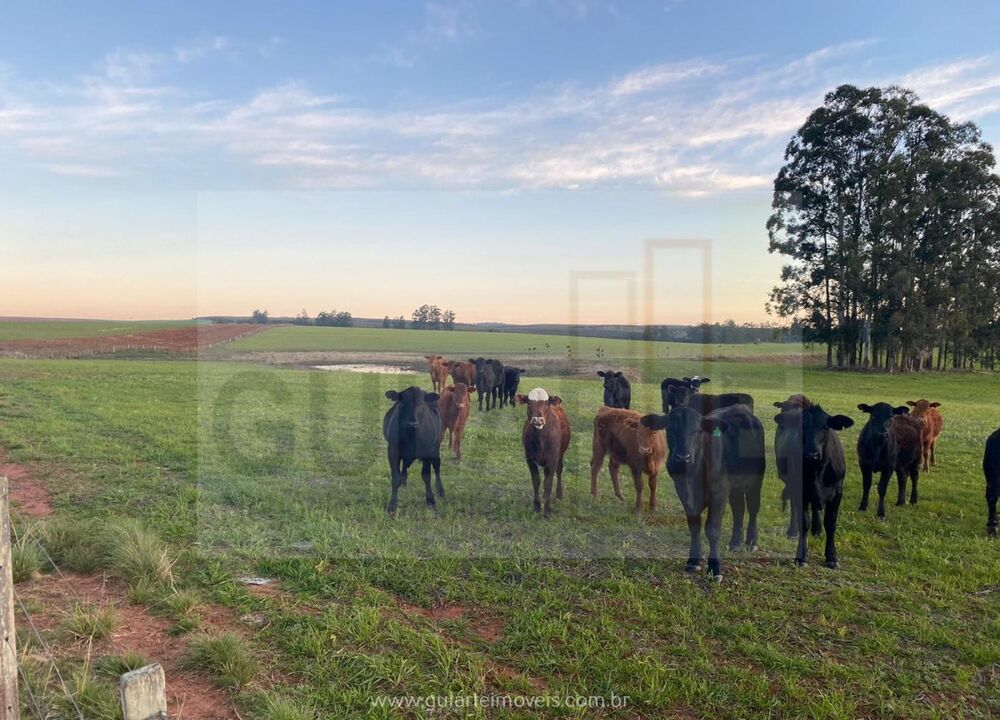 Fazenda à venda, 1420000m² - Foto 4