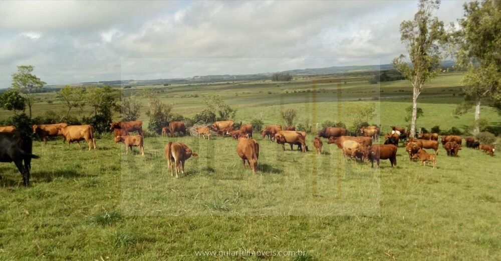 Fazenda à venda, 1420000m² - Foto 3