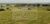 Fazenda-Sítio-Chácara, 142 hectares - Foto 2