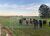 Fazenda-Sítio-Chácara, 142 hectares - Foto 4