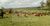 Fazenda-Sítio-Chácara, 142 hectares - Foto 3