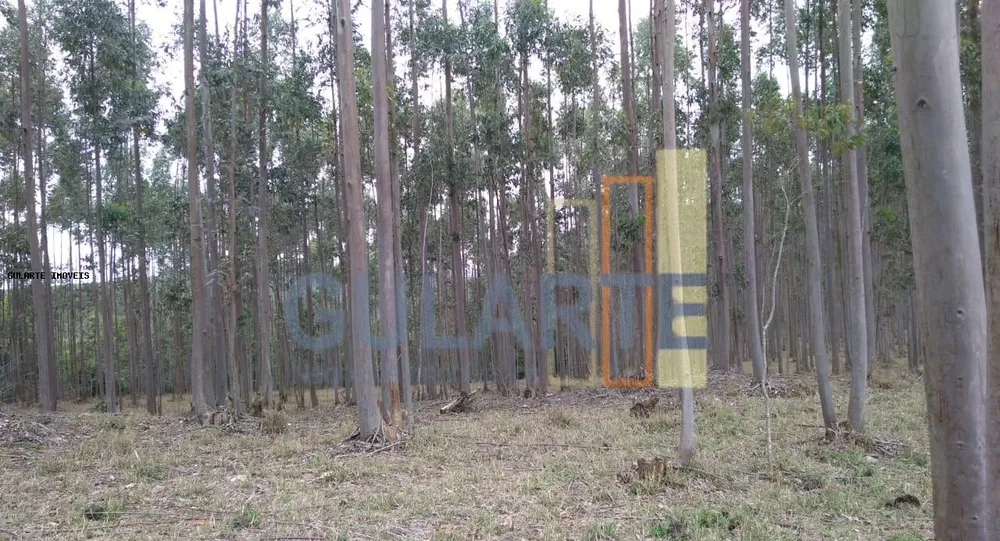 Terreno, 20 hectares - Foto 15