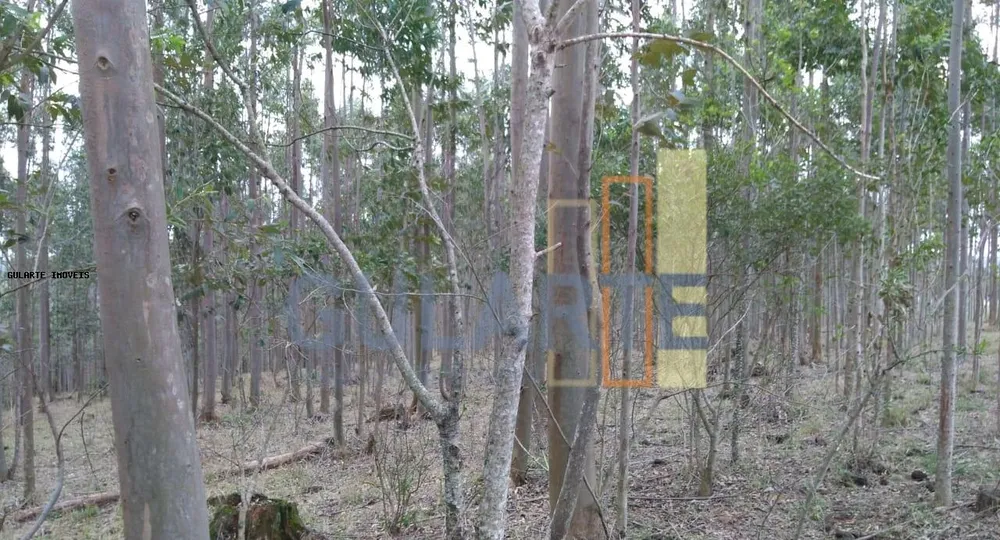 Terreno, 20 hectares - Foto 7
