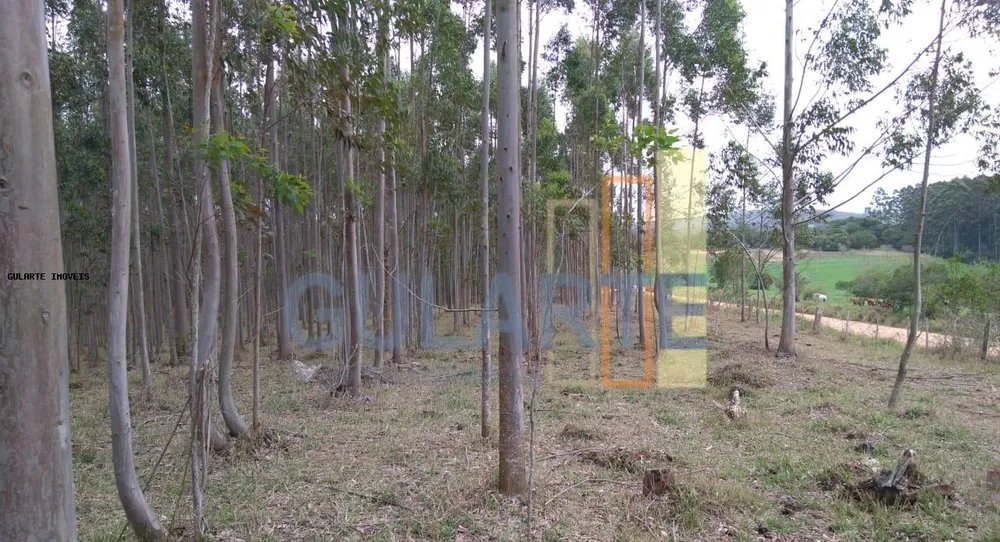 Terreno, 20 hectares - Foto 9