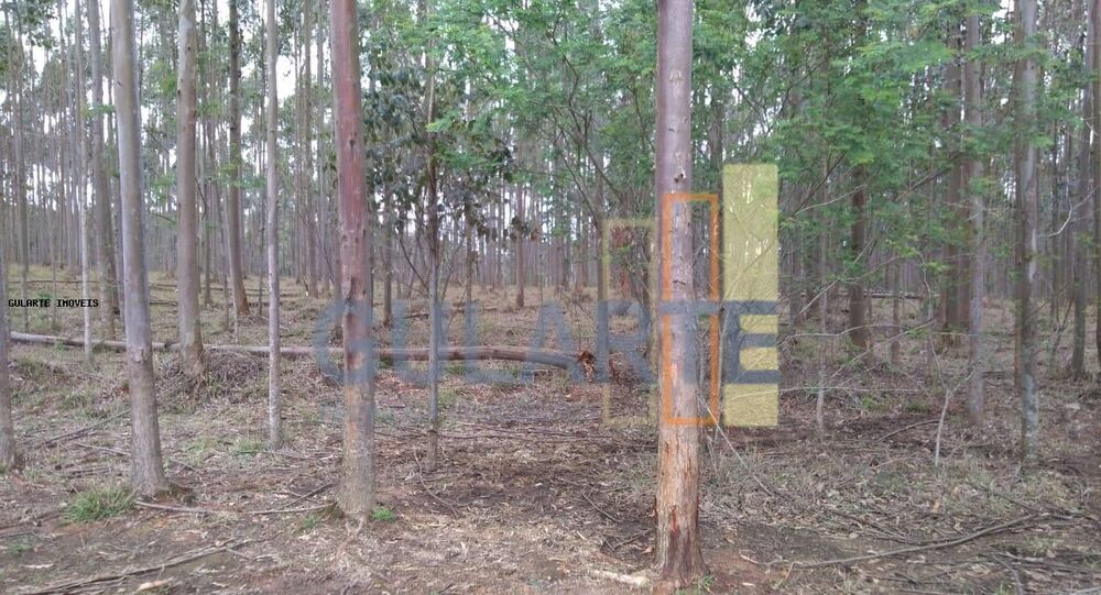 Terreno à venda, 20m² - Foto 4