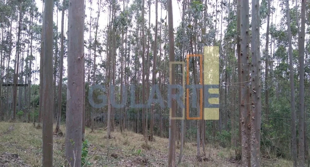 Terreno, 20 hectares - Foto 11