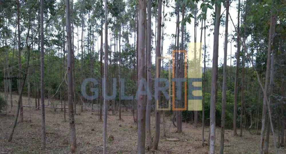Terreno, 20 hectares - Foto 18