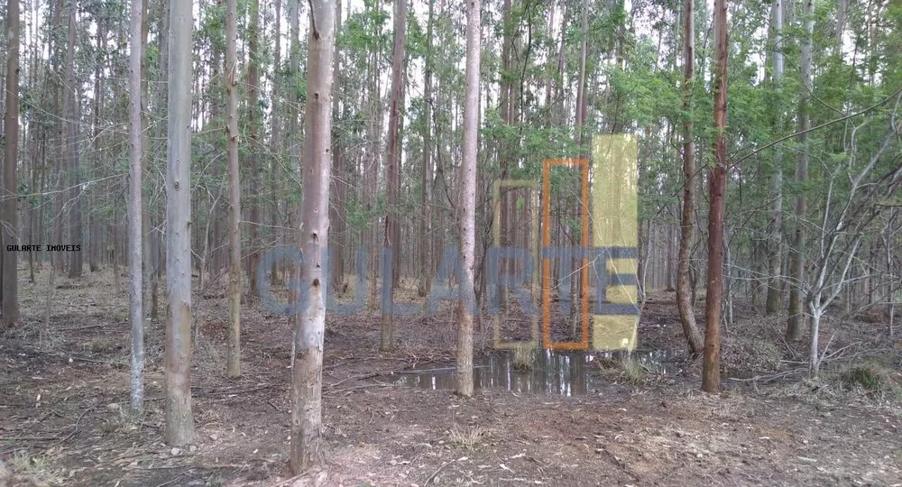Terreno, 20 hectares - Foto 8