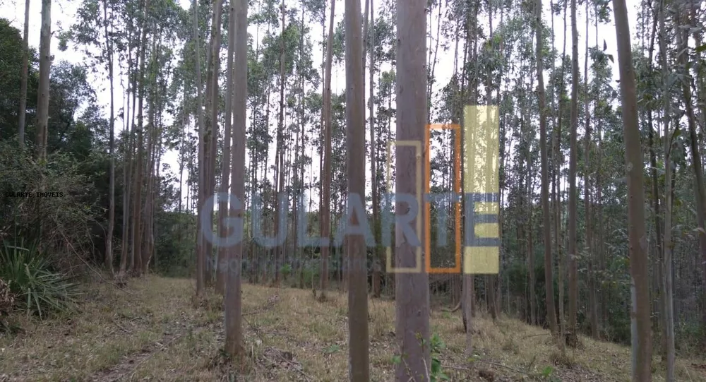 Terreno, 20 hectares - Foto 6