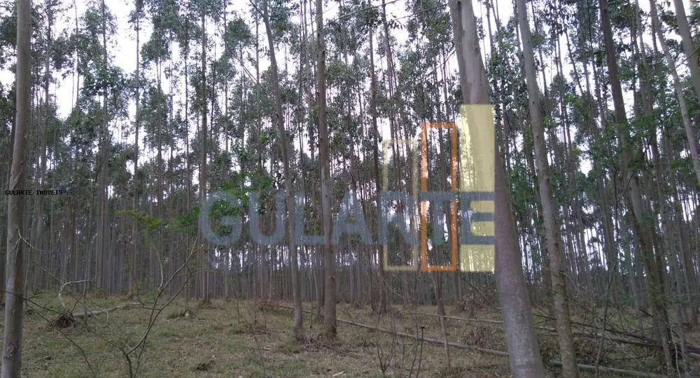 Terreno, 20 hectares - Foto 4