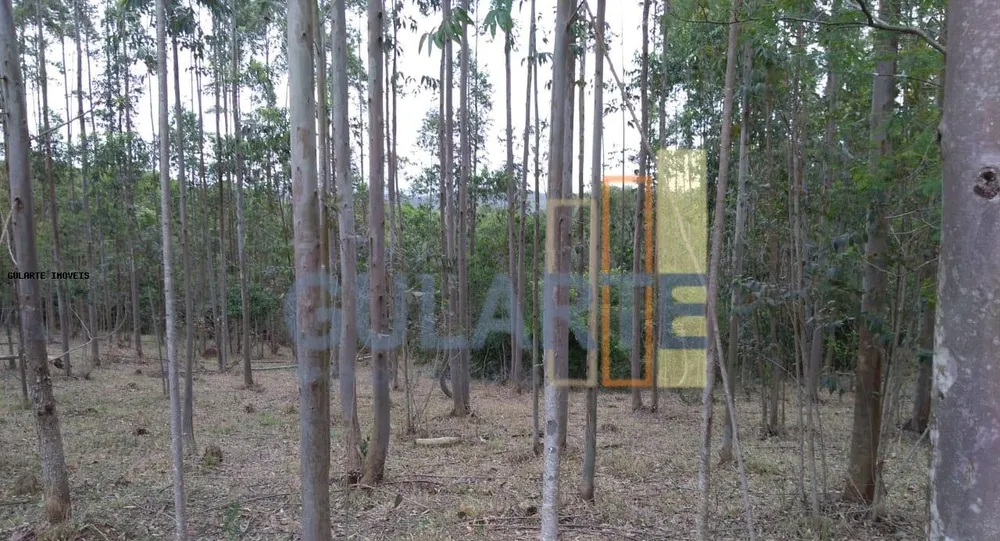 Terreno, 20 hectares - Foto 13