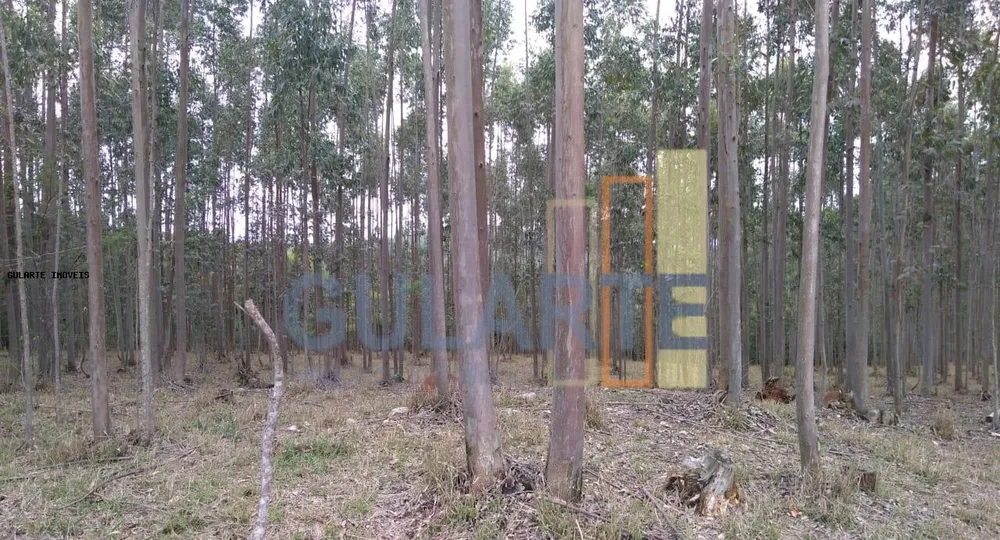 Terreno, 20 hectares - Foto 6