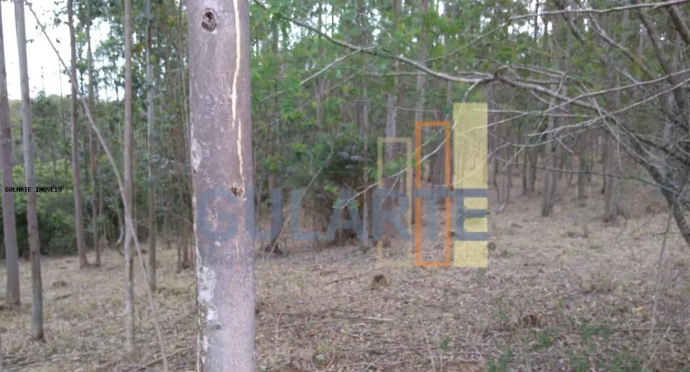 Terreno, 20 hectares - Foto 14