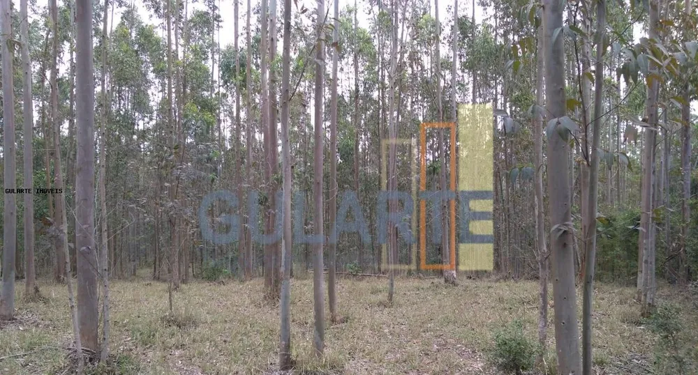 Terreno, 20 hectares - Foto 19