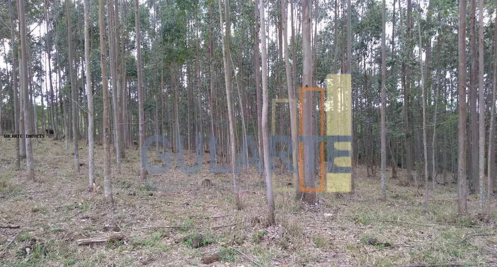 Terreno, 20 hectares - Foto 5