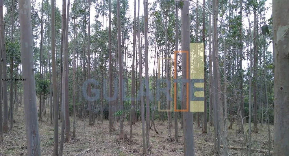 Terreno, 20 hectares - Foto 8