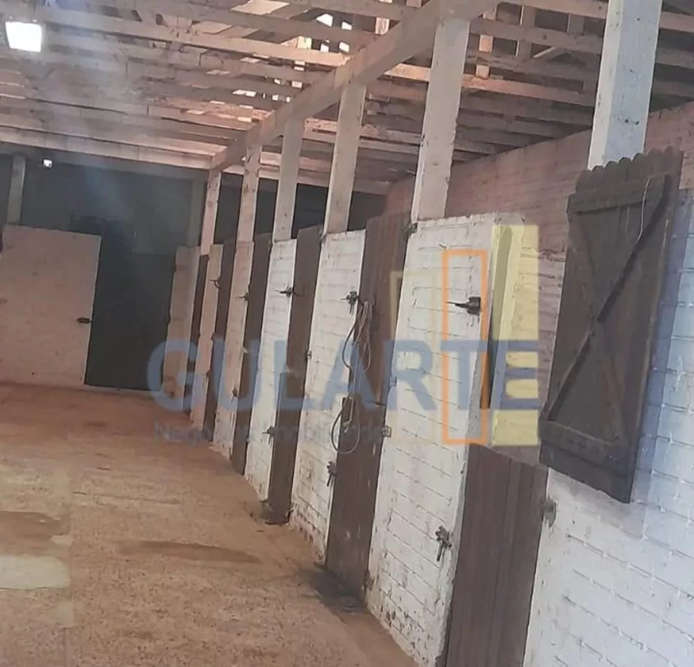 Fazenda, 3 hectares - Foto 7