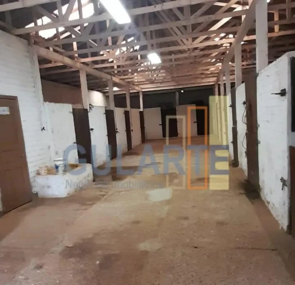 Fazenda, 3 hectares - Foto 8