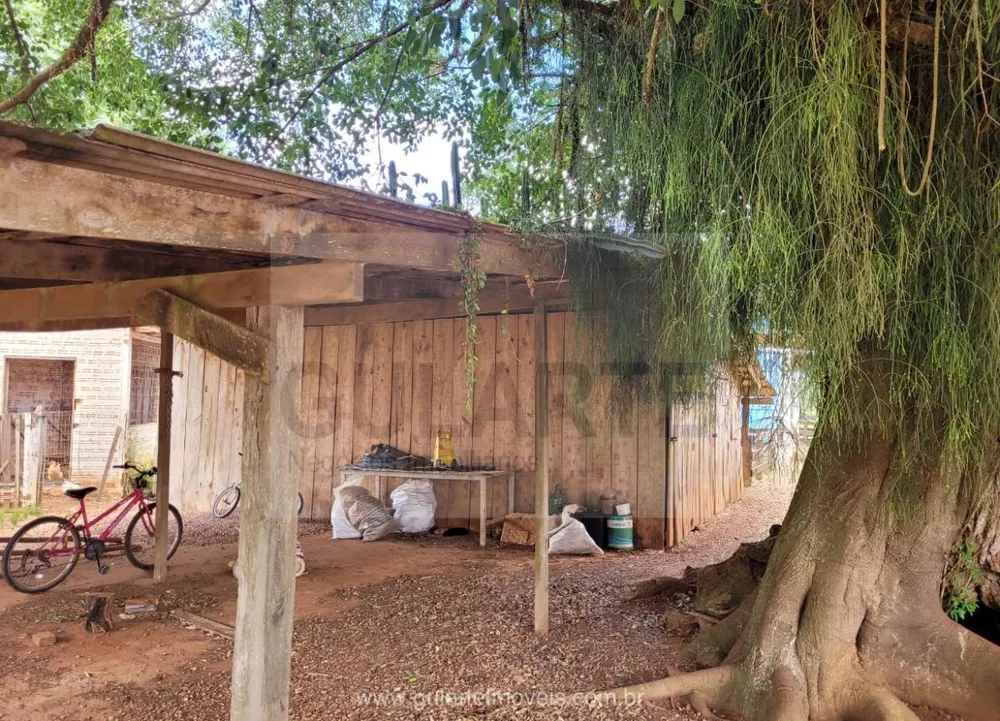 Fazenda, 3 hectares - Foto 9