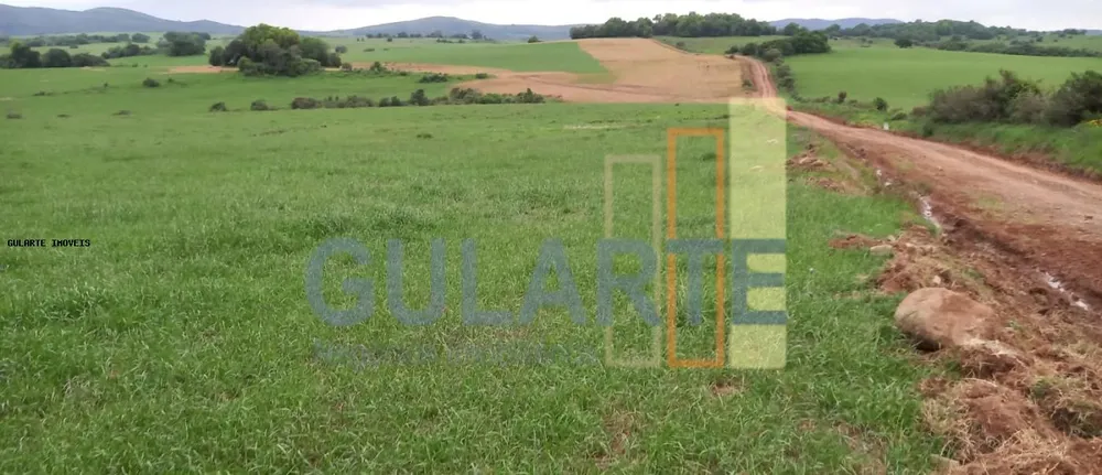 Fazenda, 1489 hectares - Foto 4