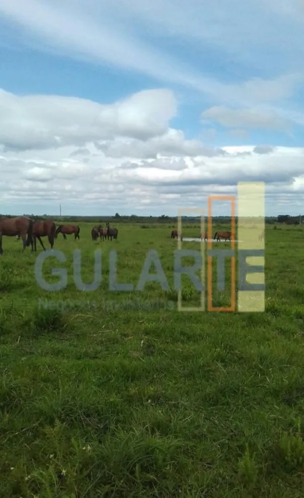 Fazenda, 372 hectares - Foto 2
