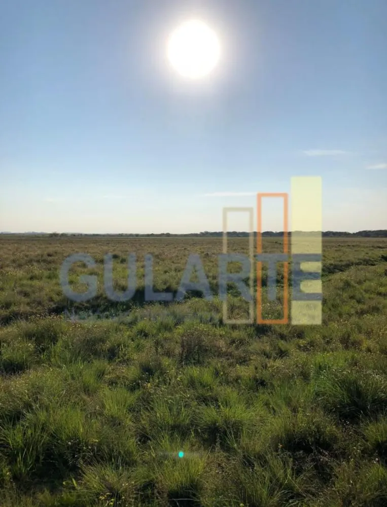 Fazenda, 372 hectares - Foto 1
