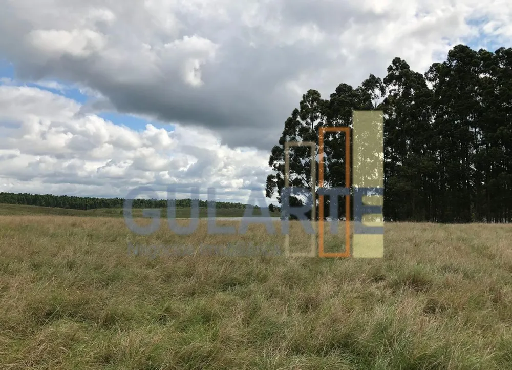 Fazenda, 372 hectares - Foto 4