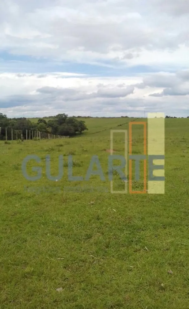 Fazenda, 372 hectares - Foto 3