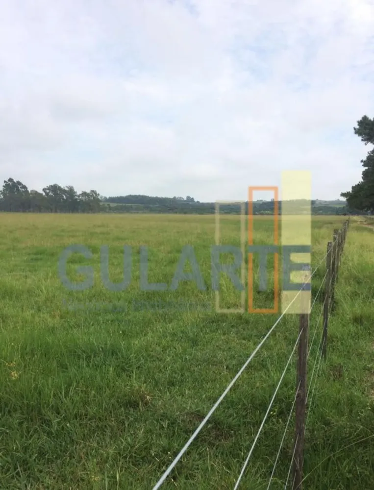 Fazenda, 372 hectares - Foto 5