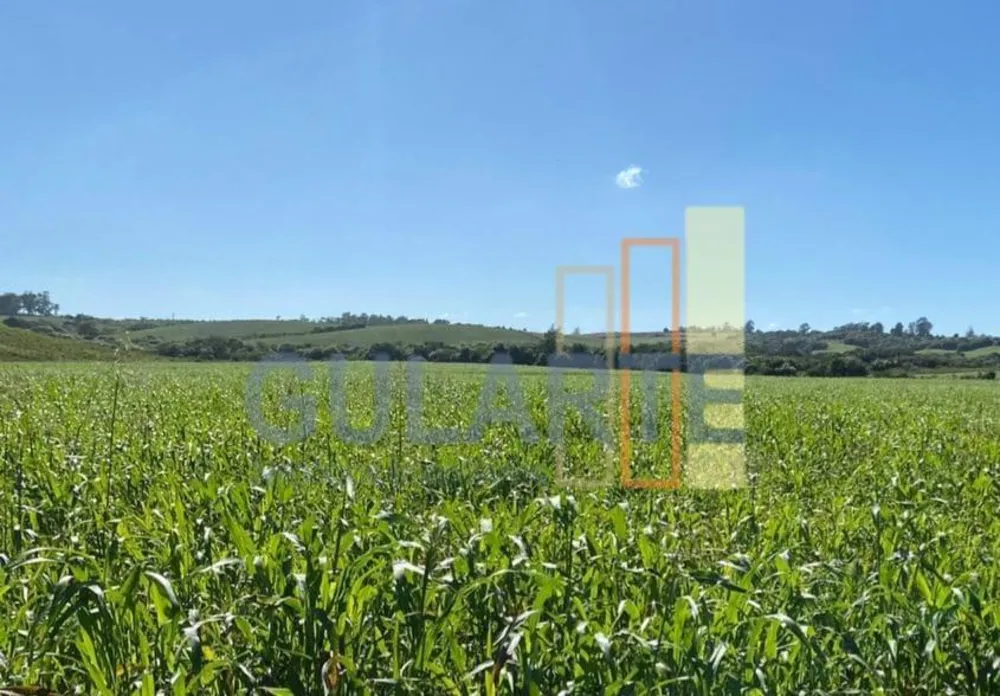 Fazenda, 707 hectares - Foto 3