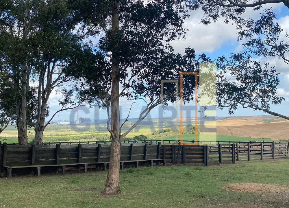 Fazenda, 707 hectares - Foto 8