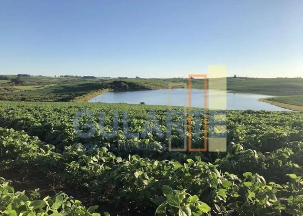 Fazenda, 707 hectares - Foto 4