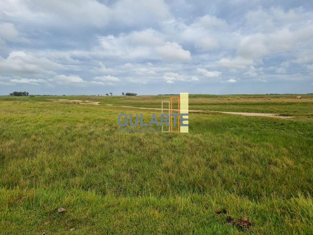 Fazenda à venda, 14000000m² - Foto 2
