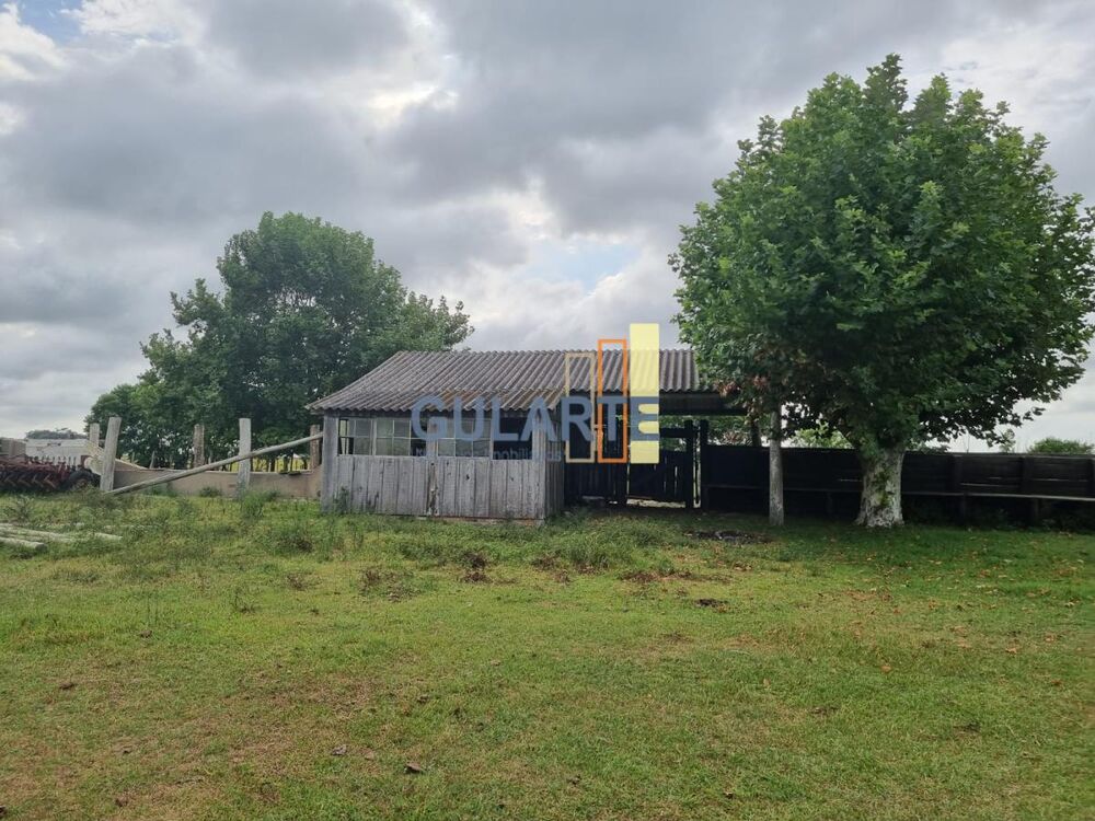 Fazenda à venda, 14000000m² - Foto 6