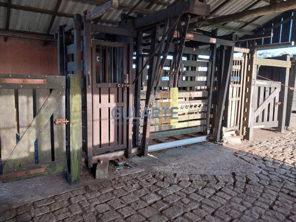 Fazenda à venda, 14000000m² - Foto 1
