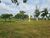 Fazenda-Sítio-Chácara, 1400 hectares - Foto 3