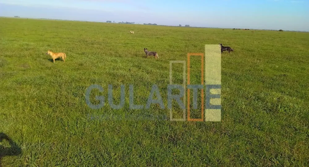 Fazenda, 545 hectares - Foto 3
