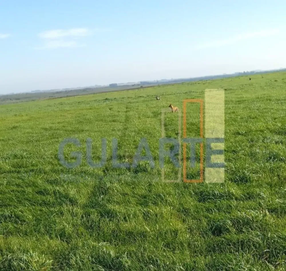 Fazenda, 545 hectares - Foto 2