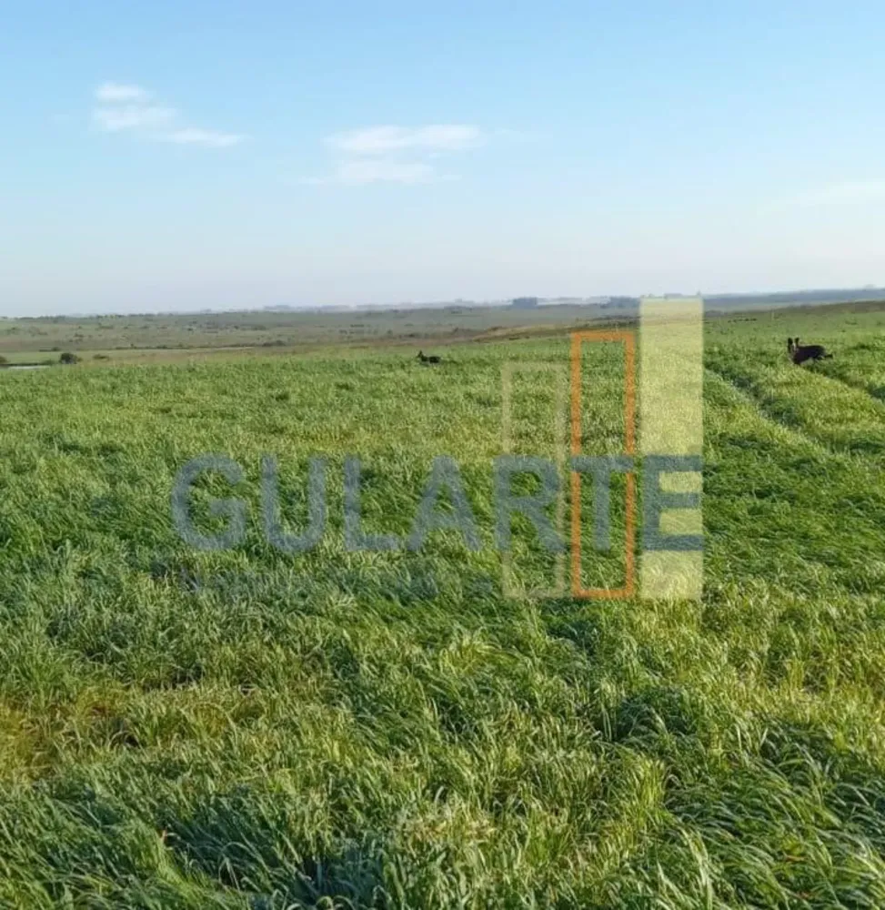 Fazenda, 545 hectares - Foto 4