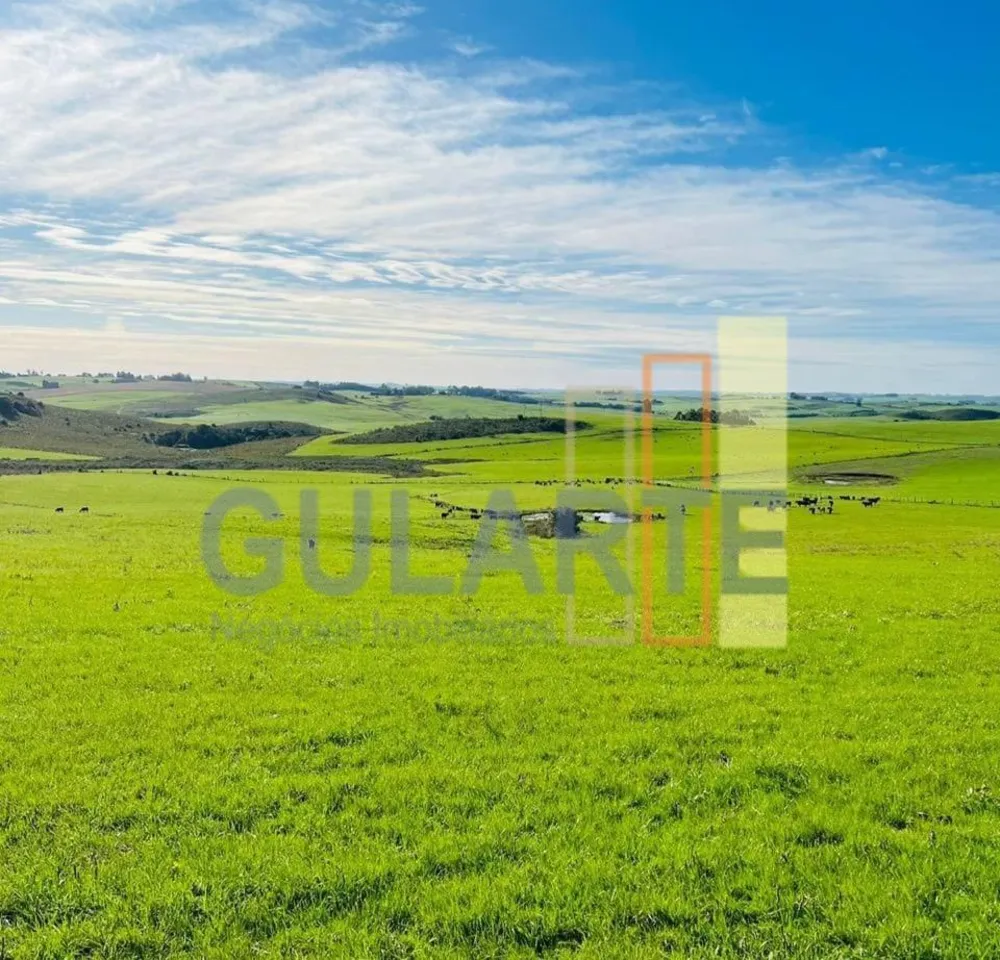 Fazenda, 545 hectares - Foto 1