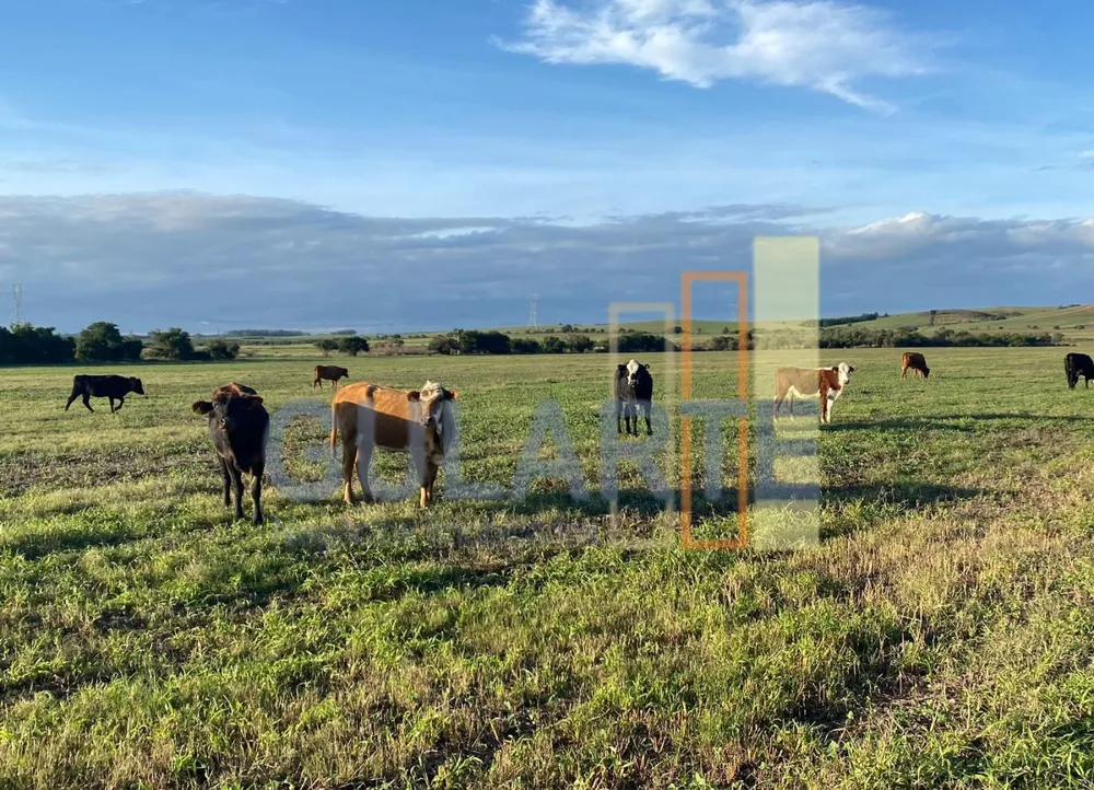 Fazenda, 440 hectares - Foto 2