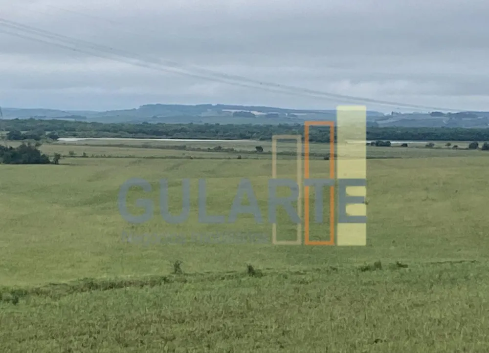 Fazenda, 440 hectares - Foto 1