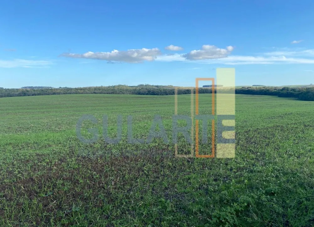 Fazenda, 440 hectares - Foto 4