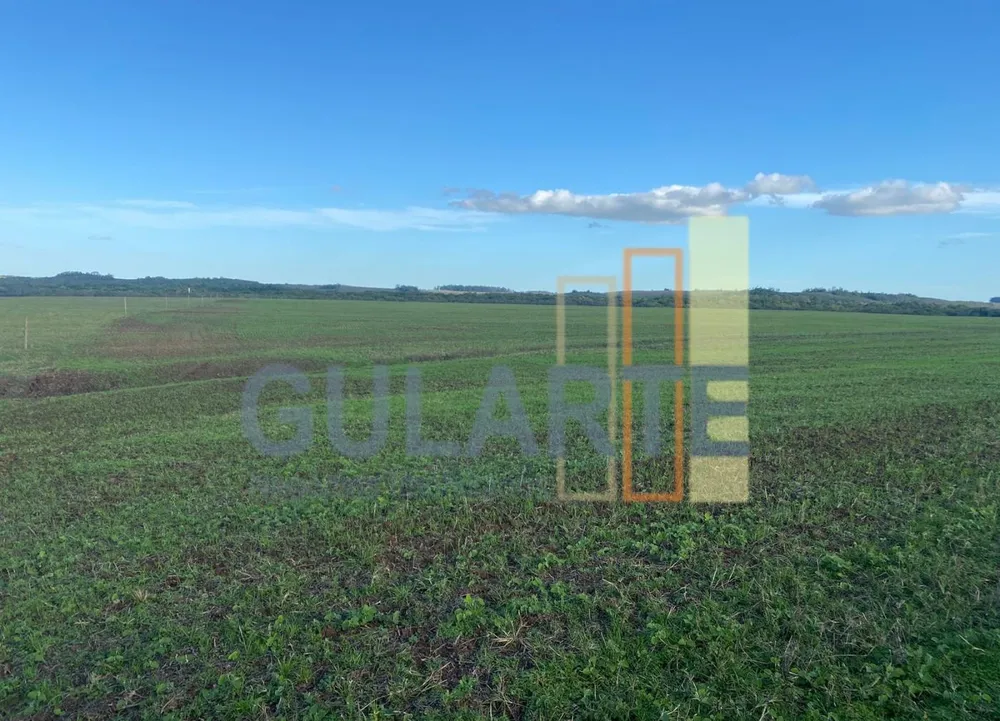 Fazenda, 440 hectares - Foto 8