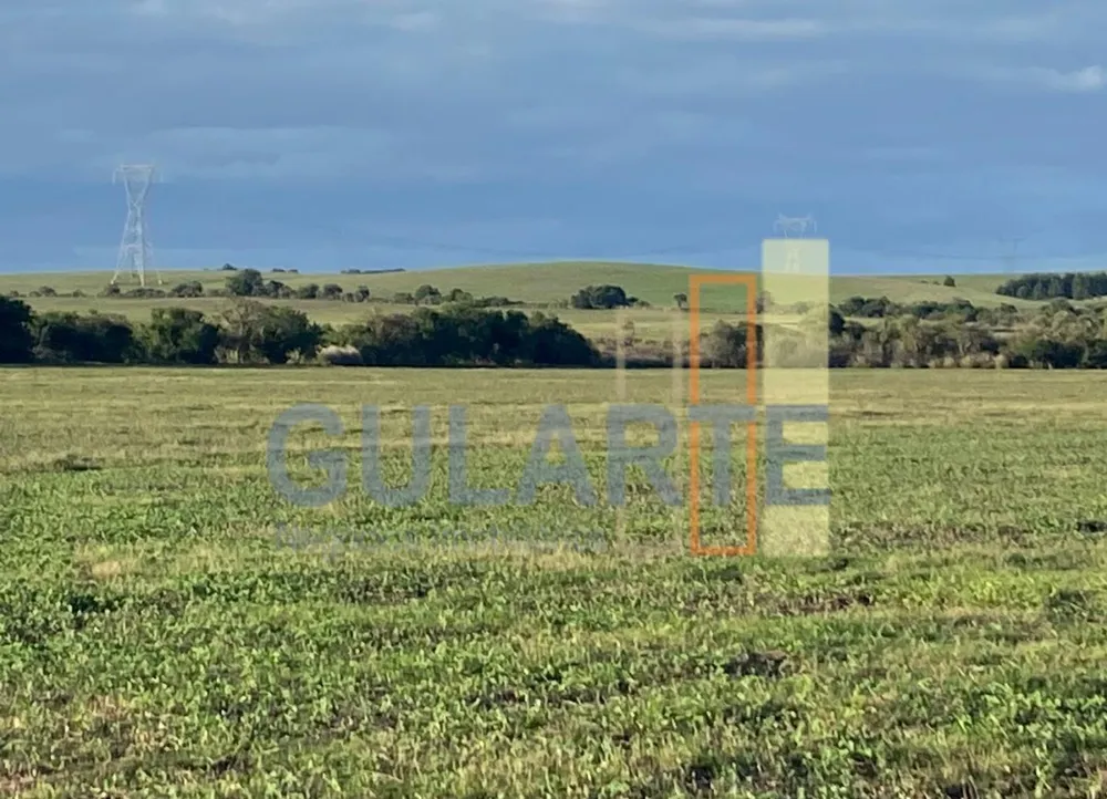 Fazenda, 440 hectares - Foto 4