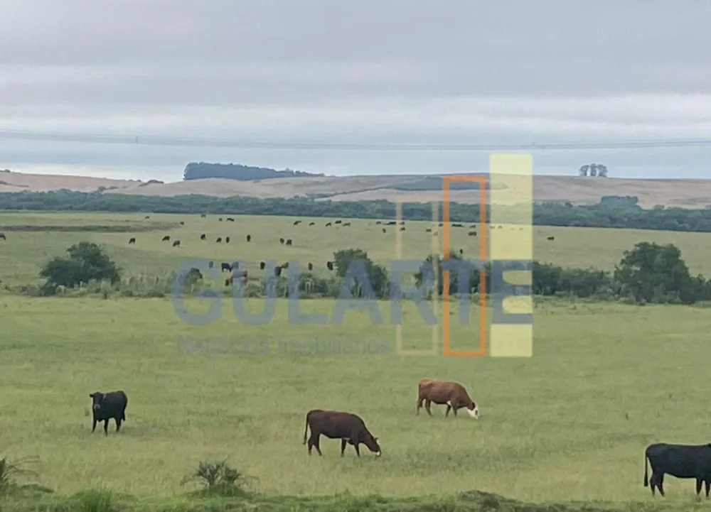 Fazenda, 440 hectares - Foto 1