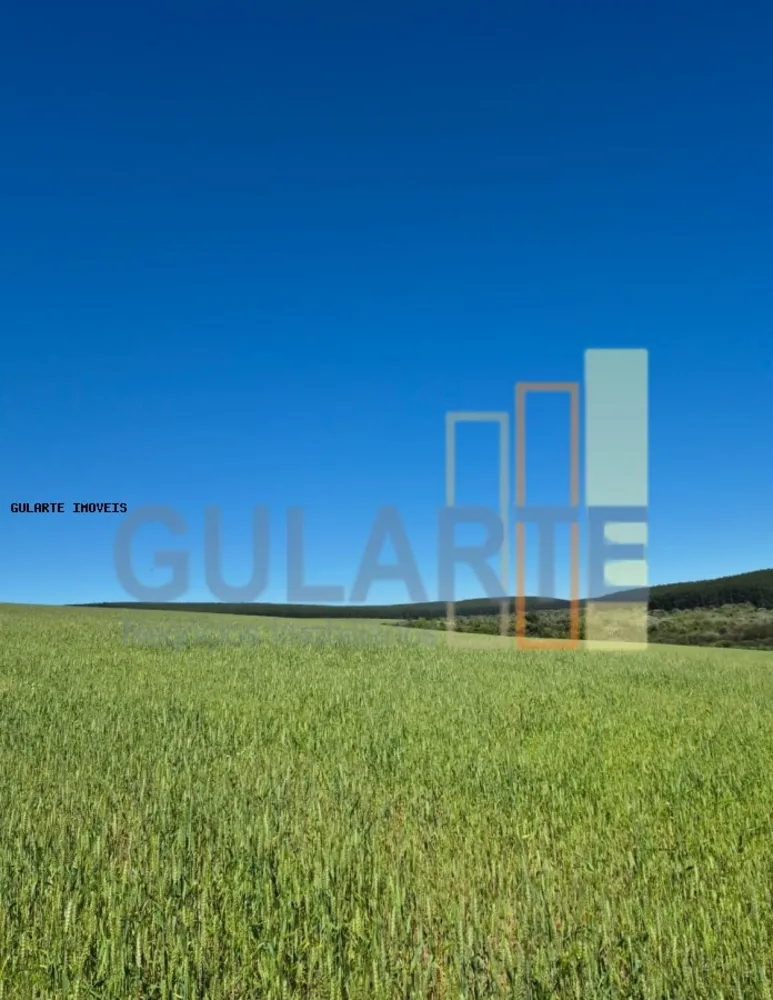 Terreno, 106 hectares - Foto 7